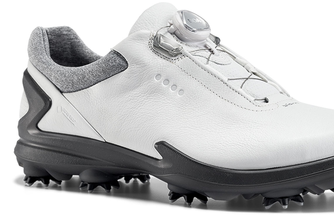 Ecco Biom boa